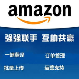 亚马逊无货源erp管理系统,嫁接独立部署服务器贴牌定制